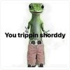 sorry_6647