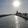 alishak079