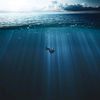 aquaticafterlife