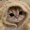 minfy_kai