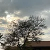 asmaamoha3