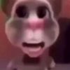 hola_admin