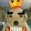 dri_ropvp1