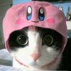 1005usernotfound