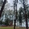 _foryoupages7