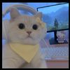 _arie417