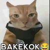yubeeess