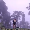 jezielgaylehuevos