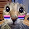 luz_la_random