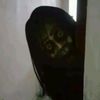 whatsyourname17771