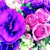 sonyluna_88