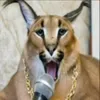 erasedtiger