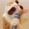 strmo0nceuu