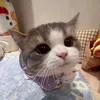hviet_1508