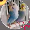itsmeagainjj