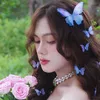 nyyy0208