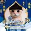 ajm_281