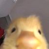 imah_7781