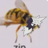 rip_zipfpe