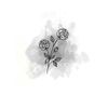 clover_030