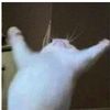 mrwickasian_