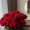 tuti_093