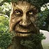 wise_mystical_tree_69