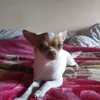 matias_moraa