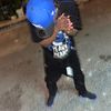 omalsofoke
