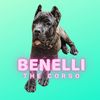 Benelli The Corso