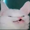 random_sruff_lol_