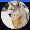 snowwolf0901
