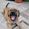 lautarosteffano1