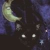spookystardust