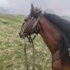 sahibsukurov016