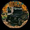 borzi.17