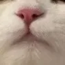 sl2._.o0