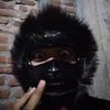 zaan_xy