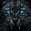 user498663317