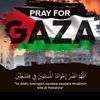 palestine.hm.12