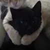 lm0bsessedwithhim