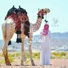 sajjad_almaliki_