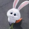s.kkk0
