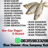 abdillah421