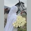 alaamahmoud5742
