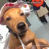 _changngaositinh_