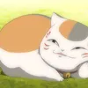 aki13.12