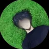 ryzox33