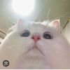 www.tiktok.comkitty95