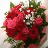 samarabdou5